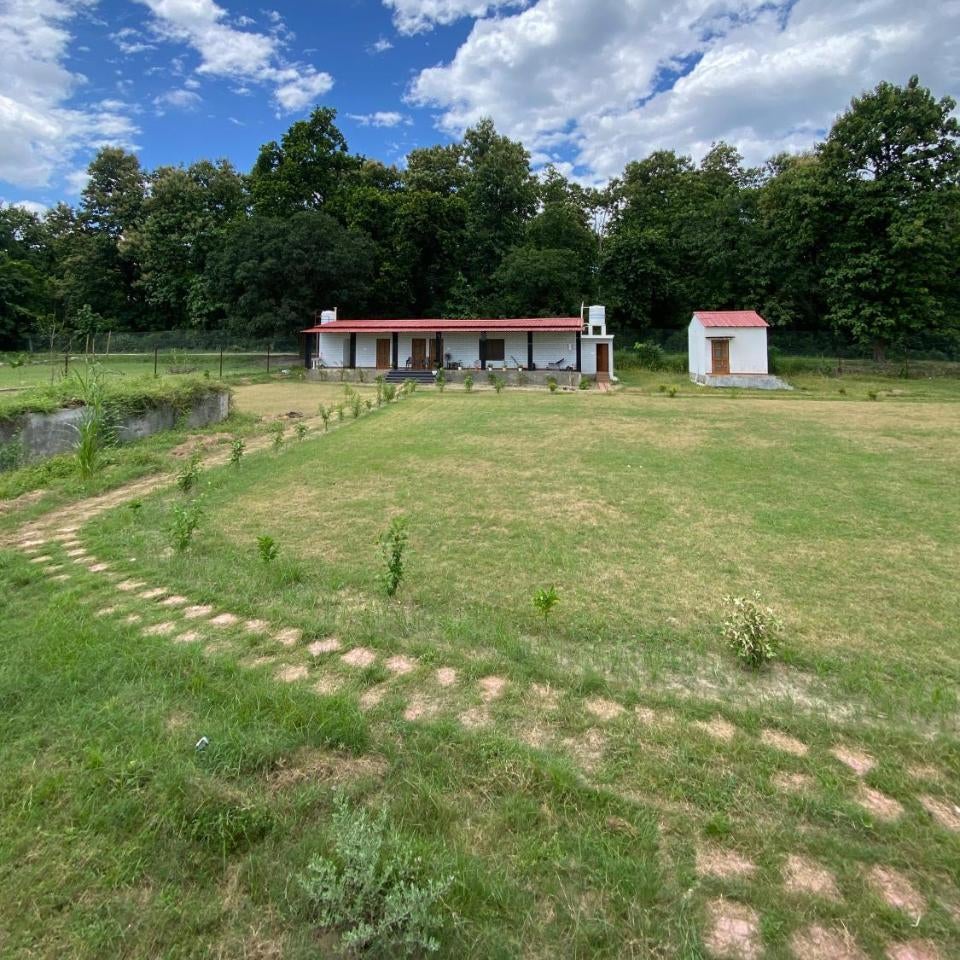 The Jungle Verse Thumbnail