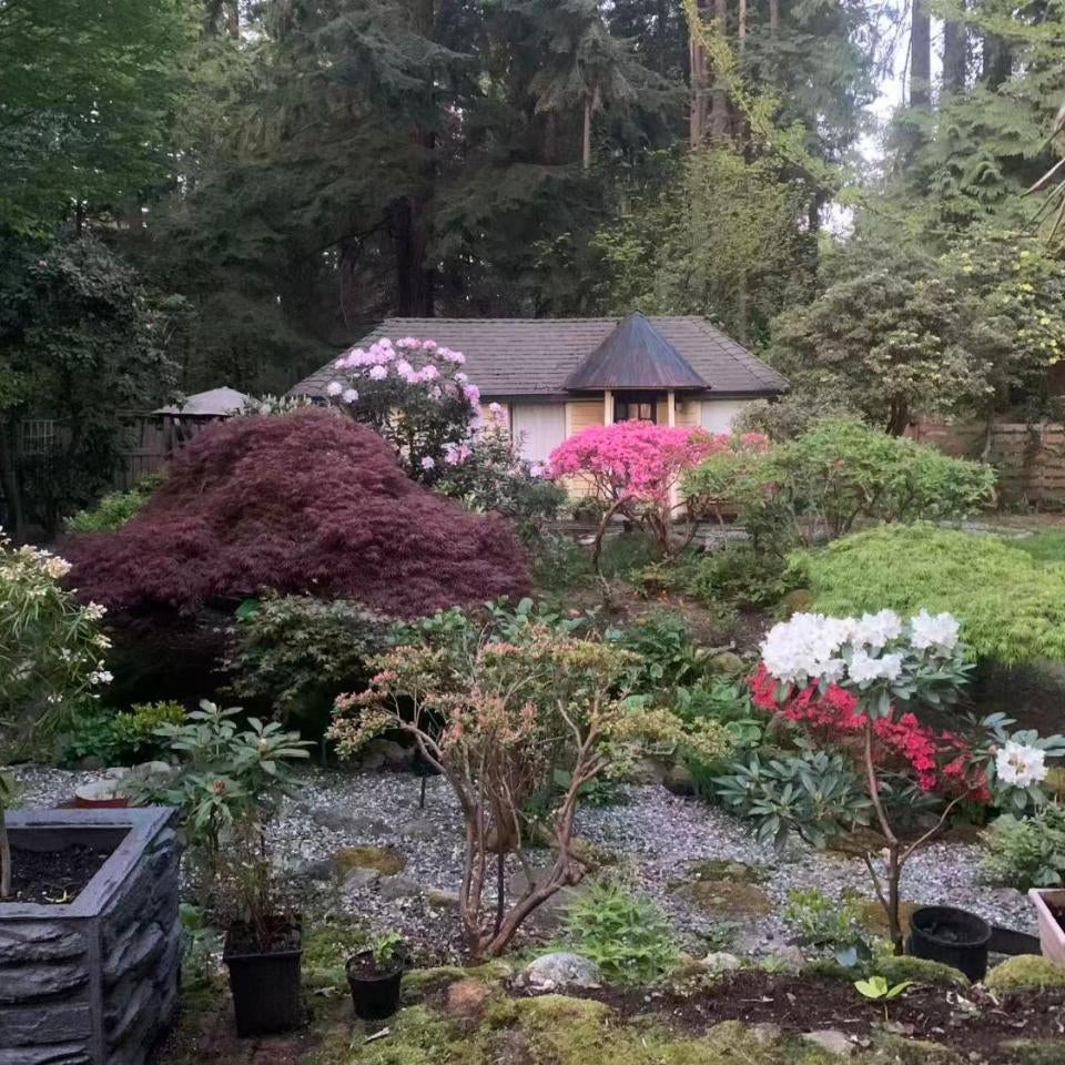 Quiet Backyard Cabin Thumbnail