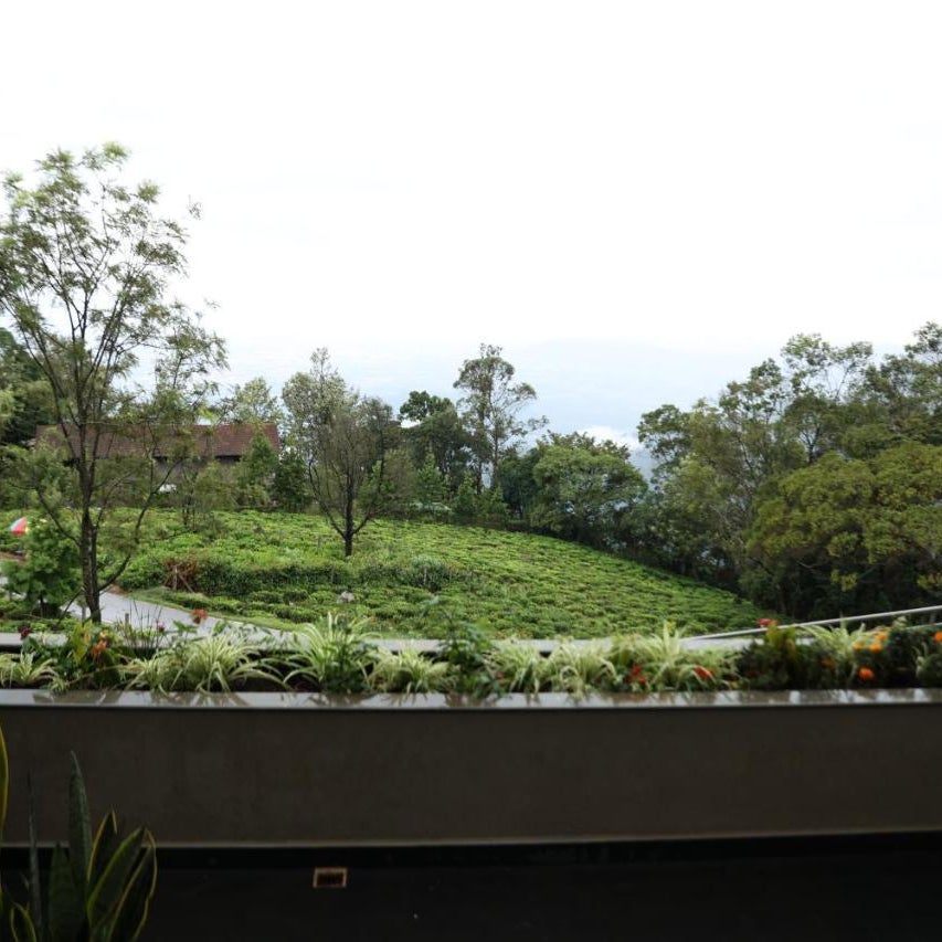 Hills and Hearts Luxury Villa