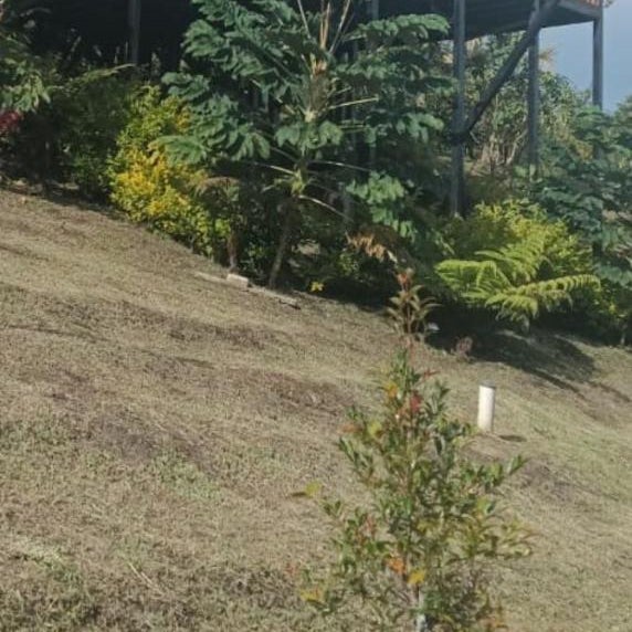 Gampling el Cielo los pinos