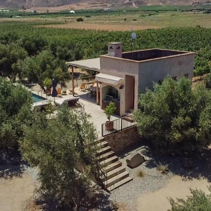 Alma Liebre Viñedos del Valle