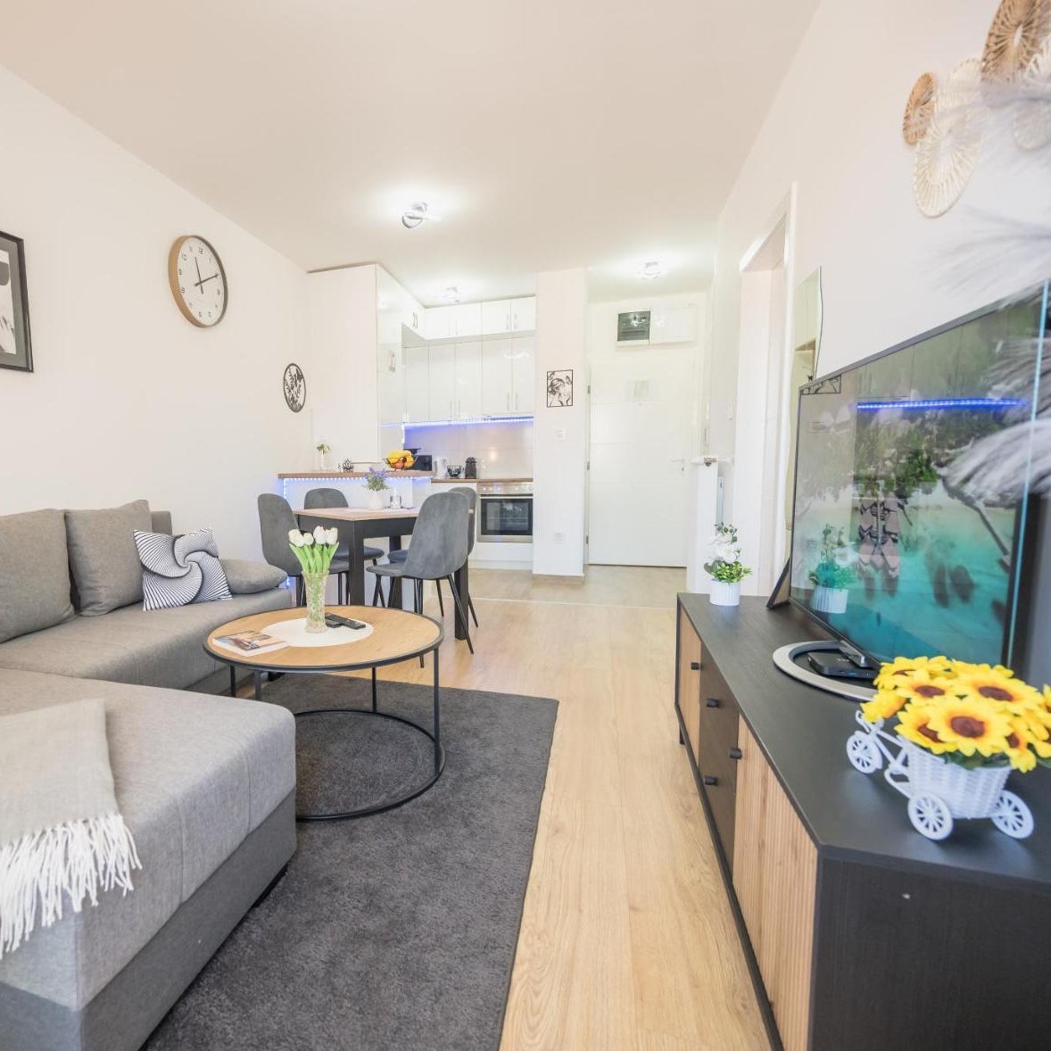 Apartman TRI KRALJA 3