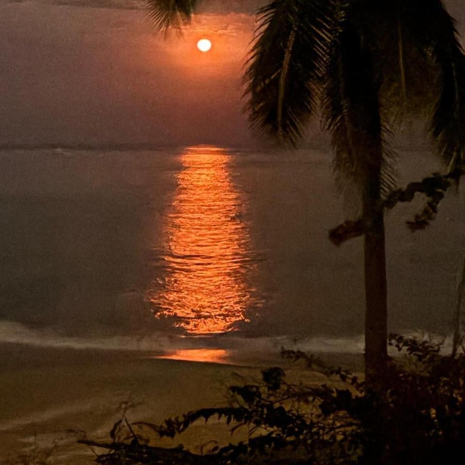 ecohabitas Thumbnail