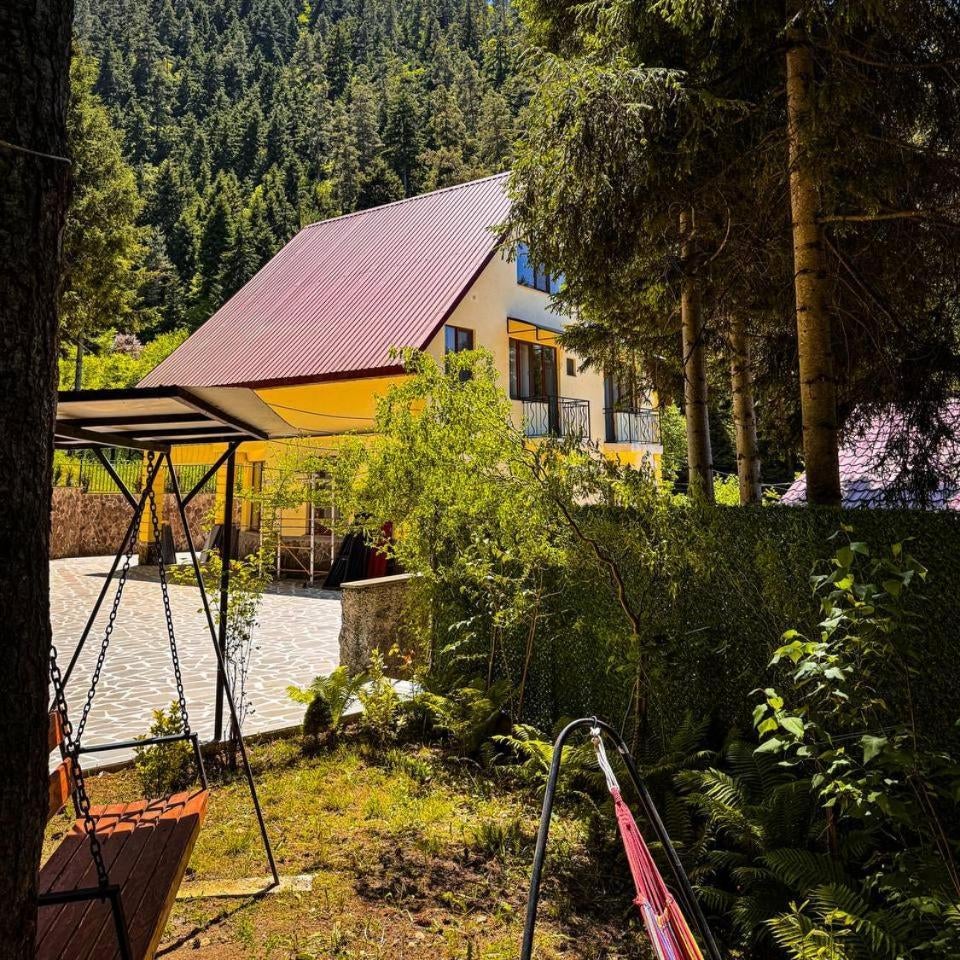 Hotel forest echo Thumbnail