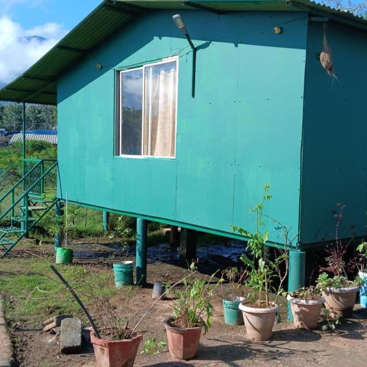 BeingWild Resort
