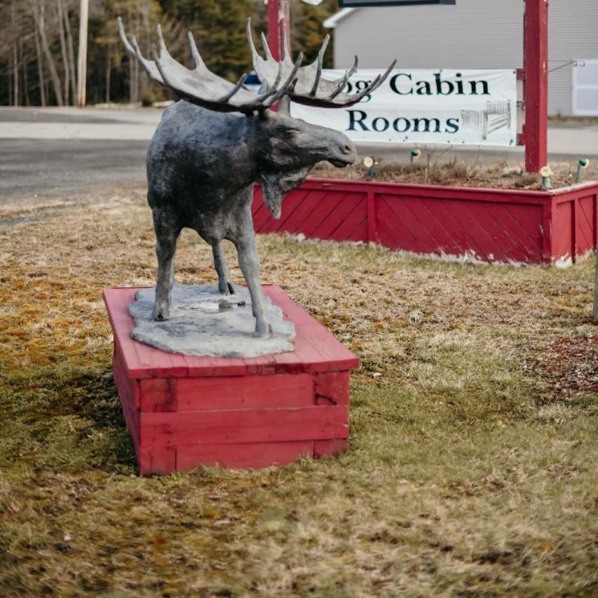 Briarwood motor inn Thumbnail