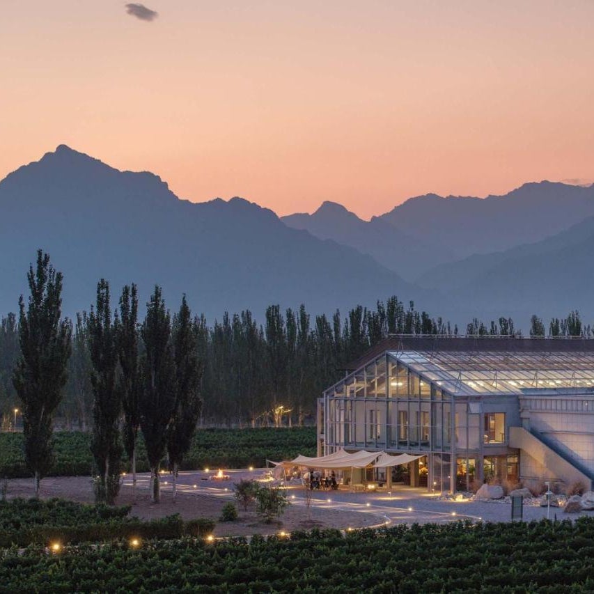 LOSTVILLA·Xiaduolan Winery(Yinchuan)