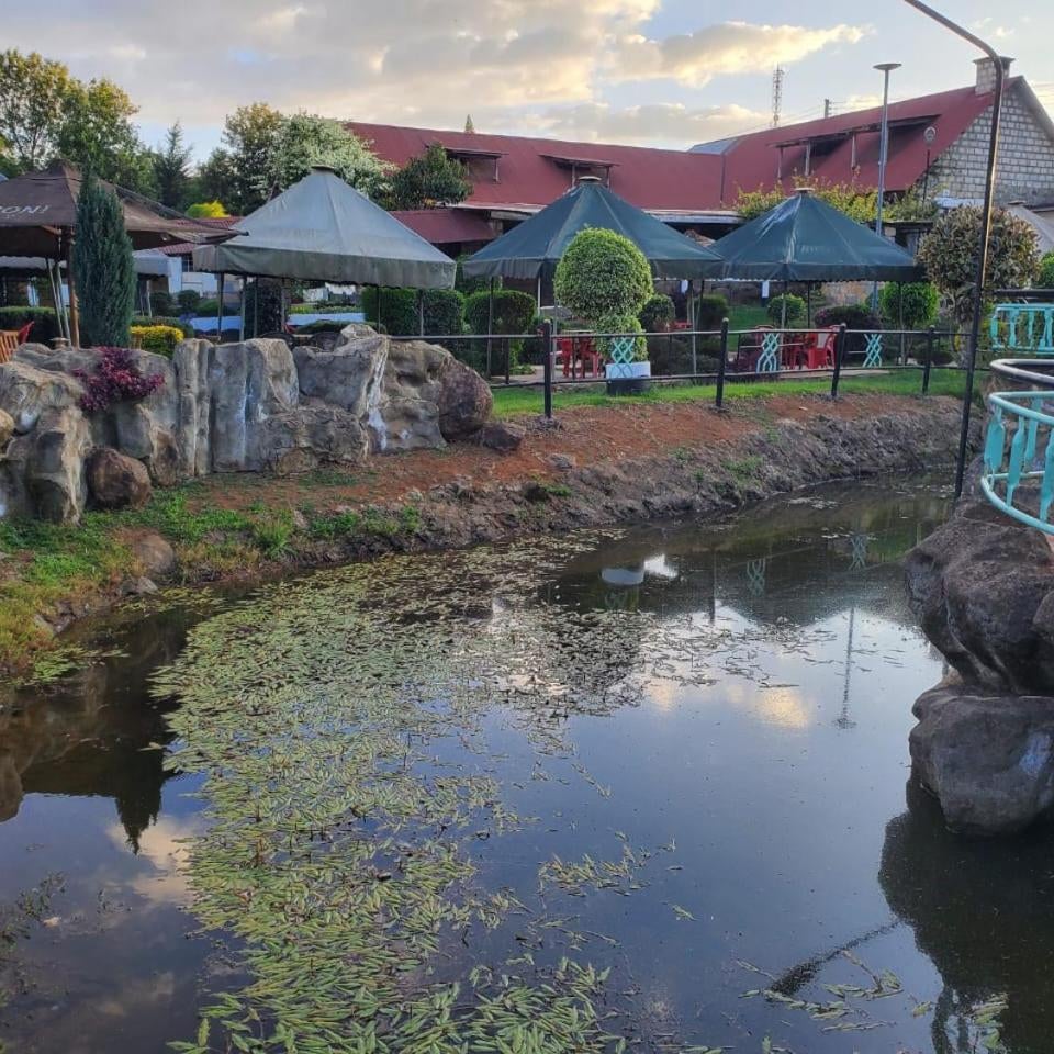 The falls hippo point