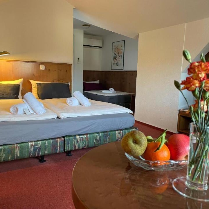 Elbhotel Dresden by AURUM Thumbnail