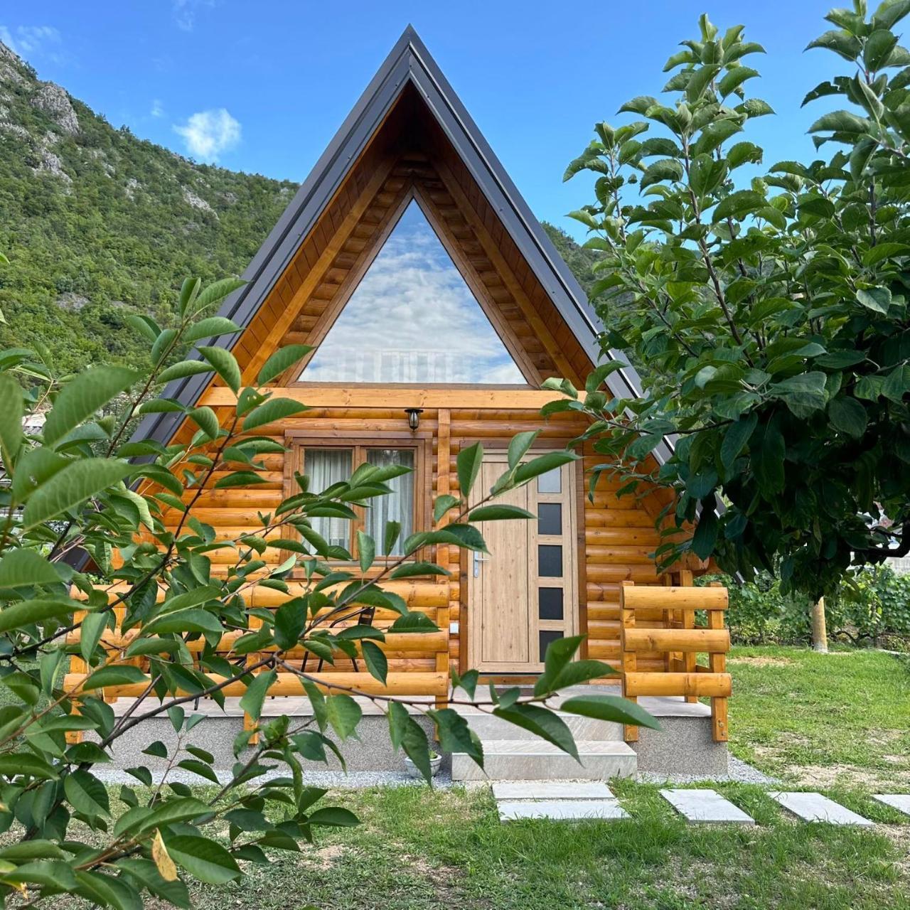 Valley Nest