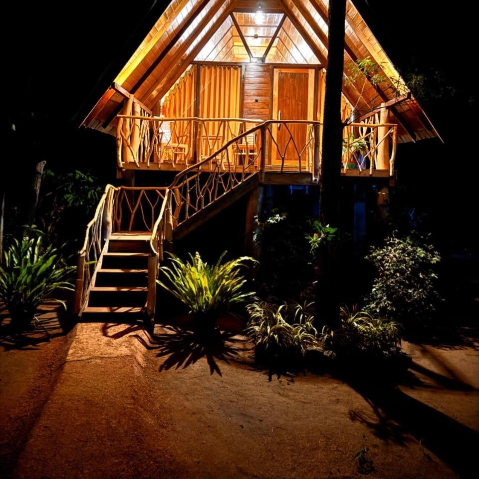 The Mango Garden