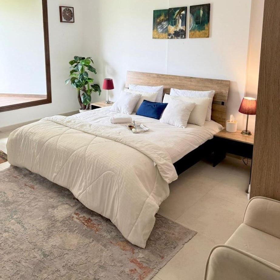 LMY Residency - Aurum Executive Prestige Apartments Gulberg Lahore Thumbnail