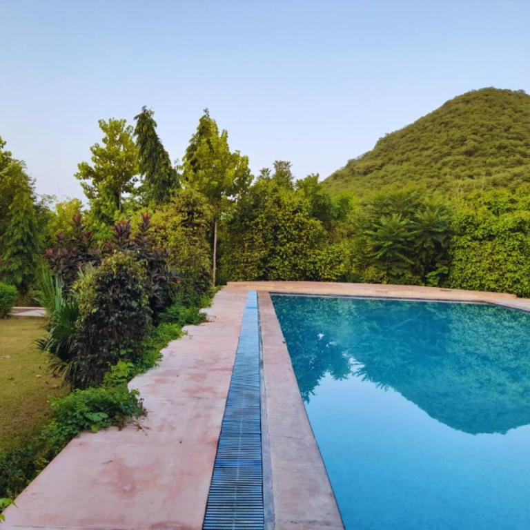 Sariska Forest Trails