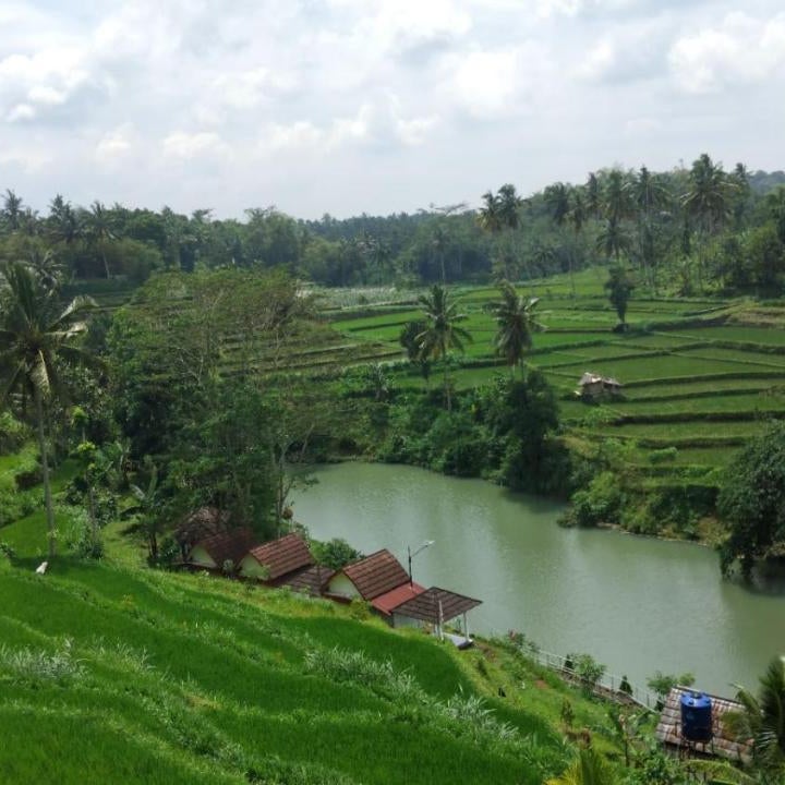 Live lombok homestay