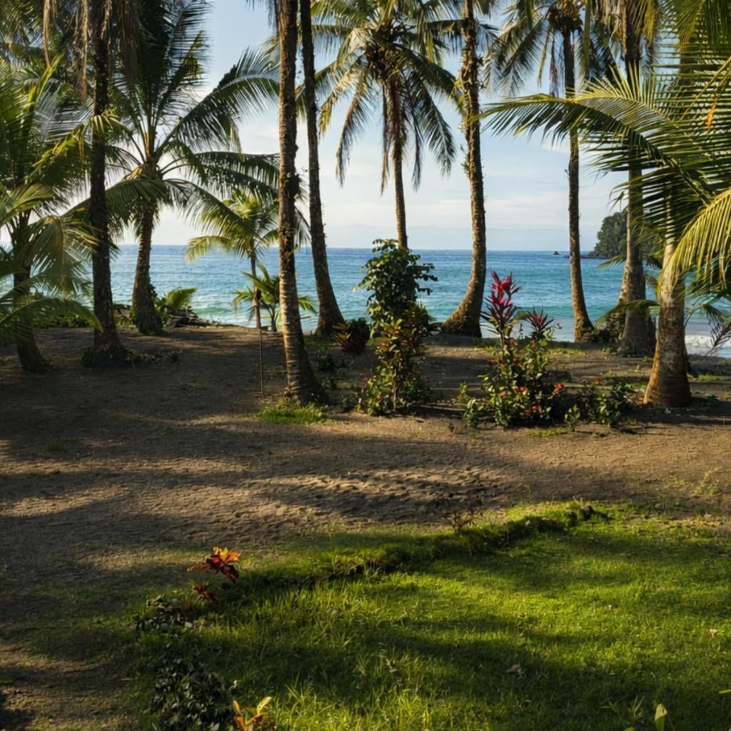 Playa Terküa hotel