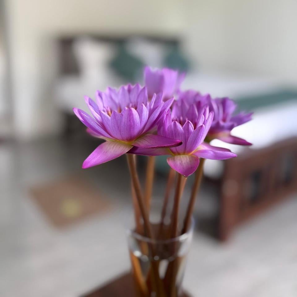 Diyathna Nuwarawewa