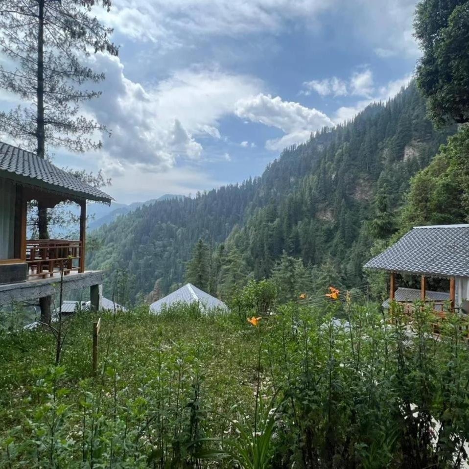Echor Treehouse Retreat Tandi Jibhi
