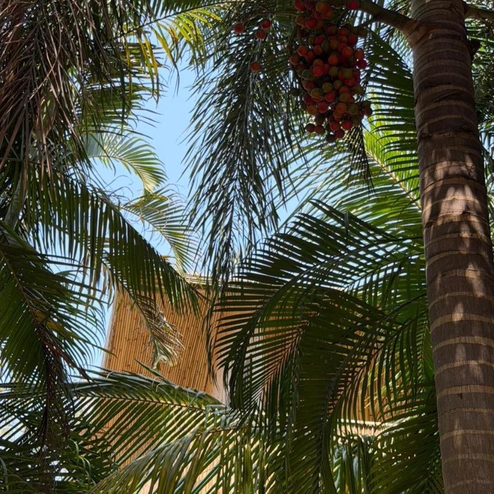 Lumina Auro Luxury Resort Thumbnail