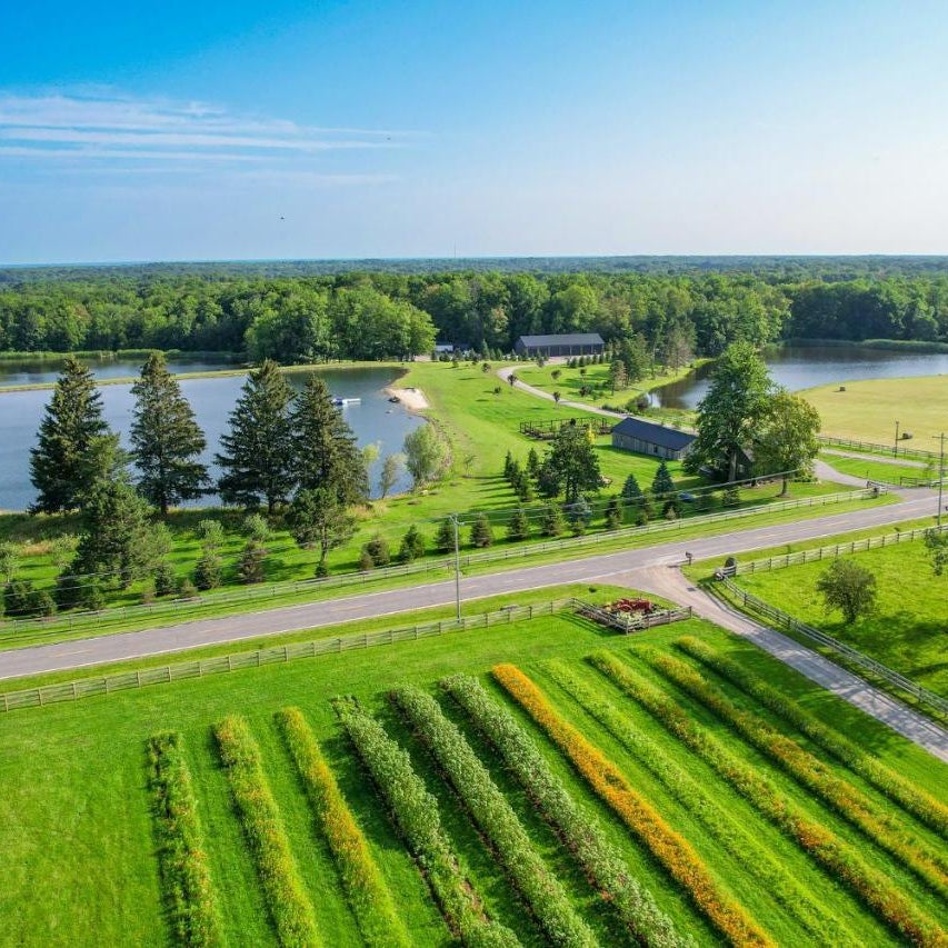 Standing Rock Farms