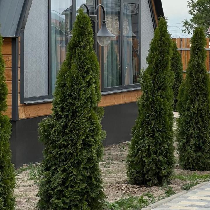 Tengri Village Karakol