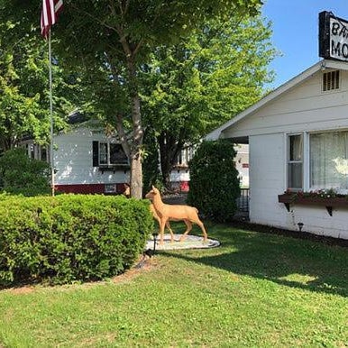 Bambi Motel