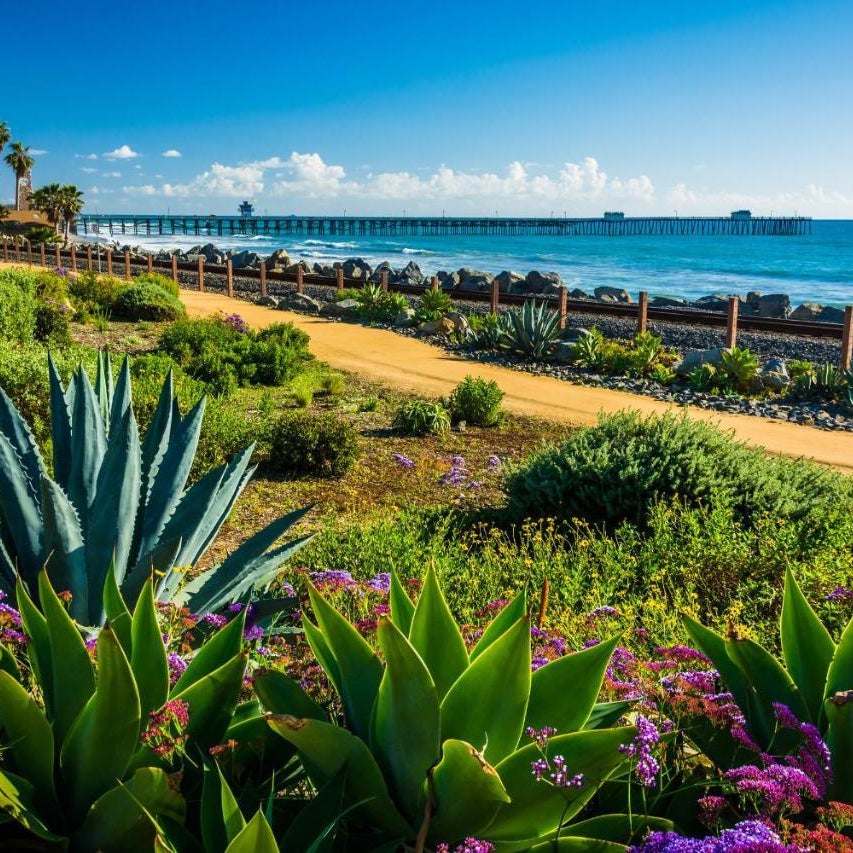 San Clemente Surf Inn Thumbnail