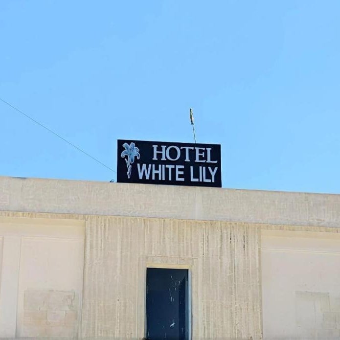 Hotel White Lily