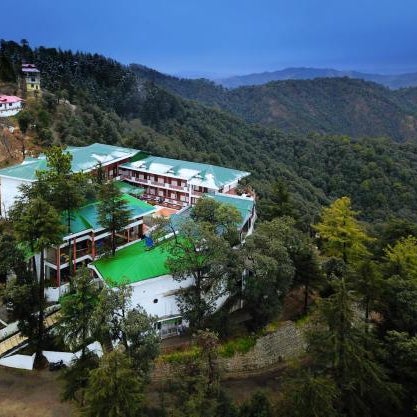 TreeHouse Chail Villas
