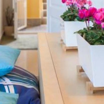 Blue Ball Apartment Thumbnail