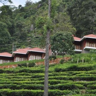 Hanging Huts Resort - Kotagiri