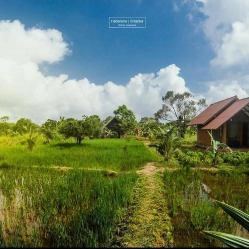 Habarana Farm Cottage