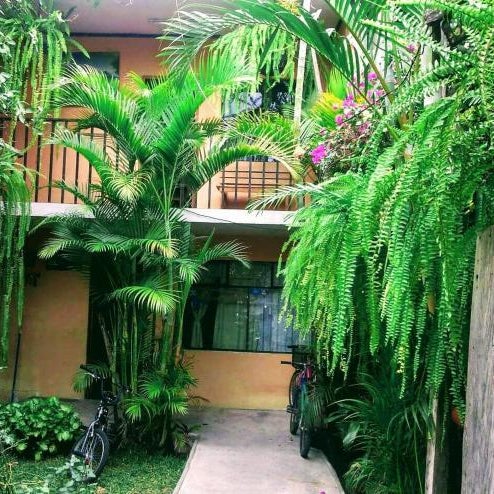 Hospedaje Eli Panajachel Thumbnail