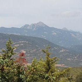 Macchie e Fiori