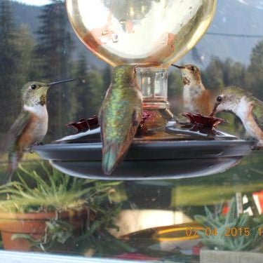 Bone Creek Wilderness Retreat Thumbnail