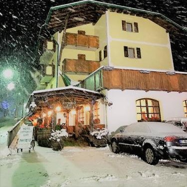 Hotel Tosa