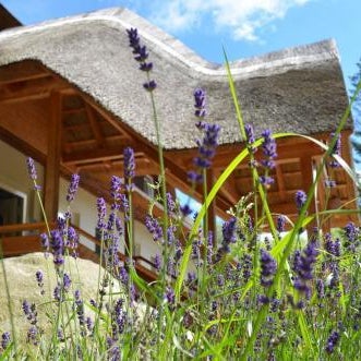 Lodge Hotel Heiligendamm- digitales & rezeptionsloses Hotel