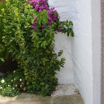 Trulli Aia Piccola