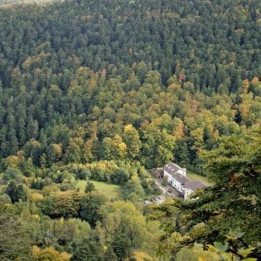 Chambres d'hôtes - sauna & bien-être Logis Domaine Langmatt