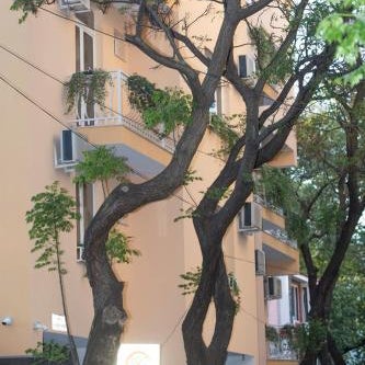 Vila Tako - Hotel Thumbnail