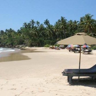 Saman Homestay Thumbnail