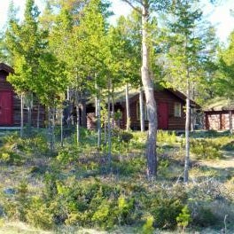 Sjodalen Hyttetun og Camping