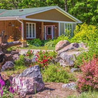 Bear & Butterfly Bed and Breakfast
