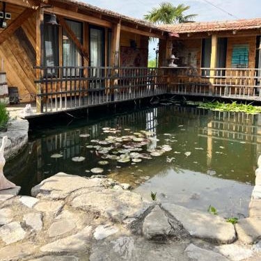 Artist's Cellar Thumbnail