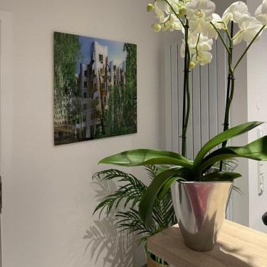 Palm Premium Hotel & Apartments Thumbnail