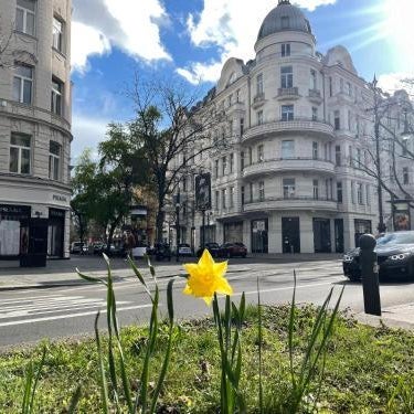 Hotel Castell am Kurfürstendamm Thumbnail
