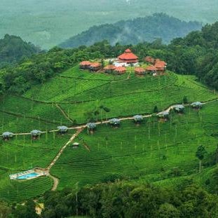 Wild Planet Jungle Resort
