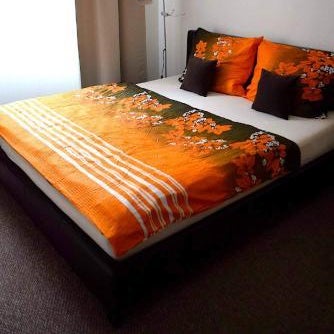 Apartment Olomouc Centre Thumbnail