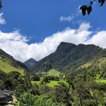 Cabañas Valle del Cocora La Truchera
