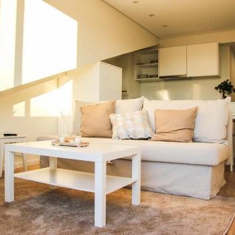 Terro Collection - Alcaide Thumbnail