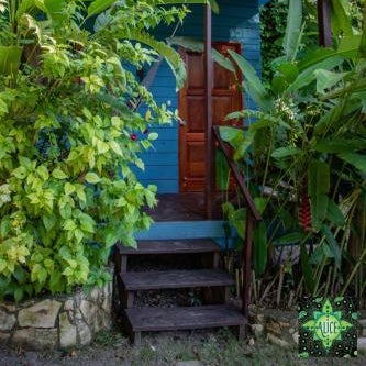 Alice Guesthouse Thumbnail